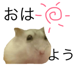 27380717