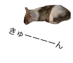 27380719