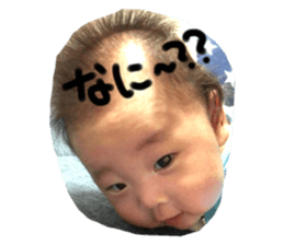 273843502