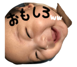 273843511