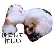 273957015