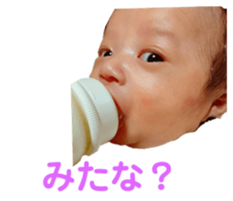 273979884