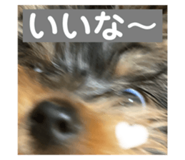 274057344