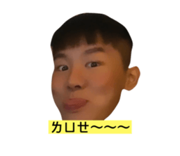 274101849