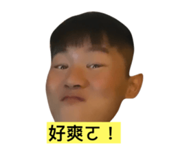 274101852