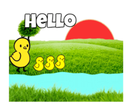 27411576