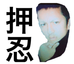 274368685