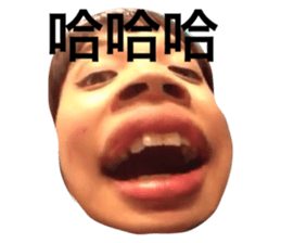 27441025