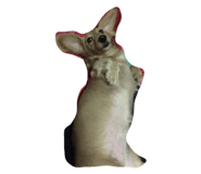 27455724