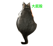 27455729