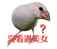 274583975