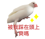 274583976
