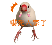 274583977
