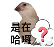 274583979