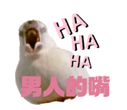 274583981