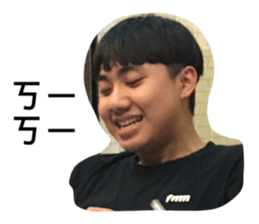 27462575