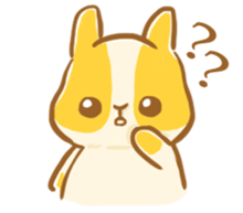 27463768