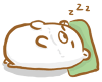 27463798