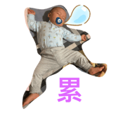 274758766