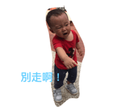 274758776