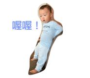 274758779