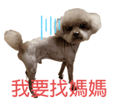 274827252