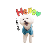 274961627