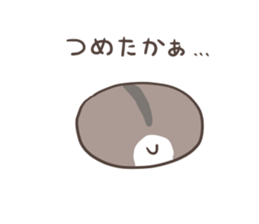 2749623