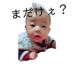 275018448