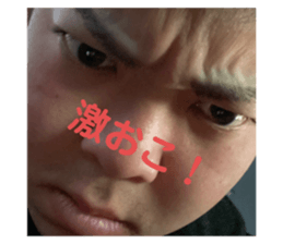 275018771