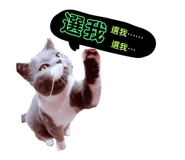 275052293