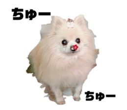 275126756