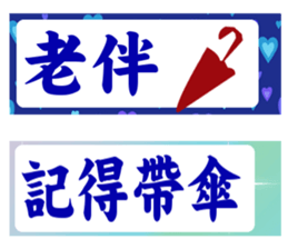 275129648