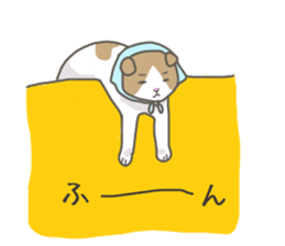 2751713