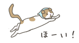 2751714