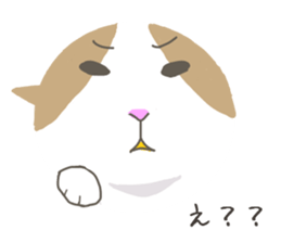 2751723
