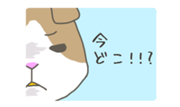 2751724