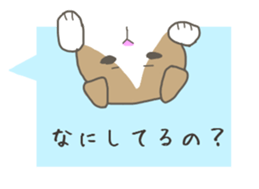 2751725