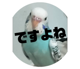 275182452
