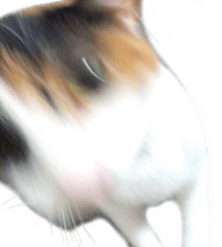 275217640