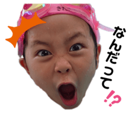 275219406