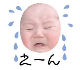 275221042
