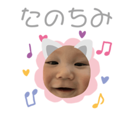 275221044