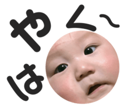 275221046