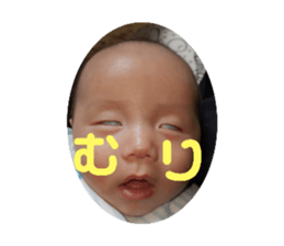 275269479
