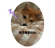 275293119