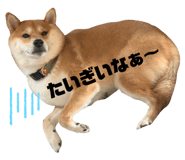 275293122