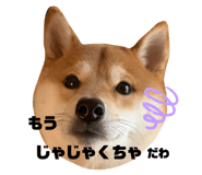 275293123