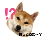 275293125