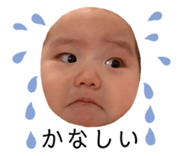 275344561